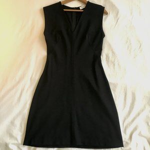 Everlane Sleeveless V-Neck Flare Dress-Black